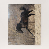 Bob Langrish | Andalucian Running Legpuzzel (Verticaal)