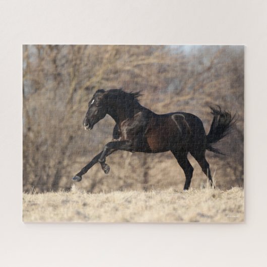 Bob Langrish | Andalucian Running Legpuzzel (Horizontaal)