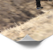 Bob Langrish | Andalucian Running Poster (Hoek)