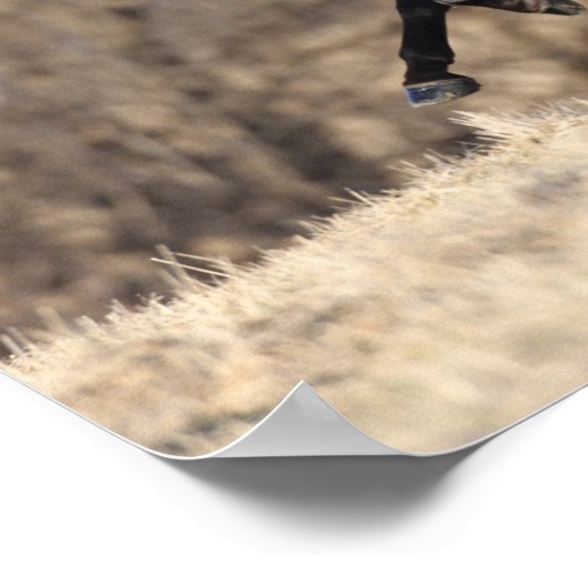 Bob Langrish | Andalucian Running Poster (Hoek)