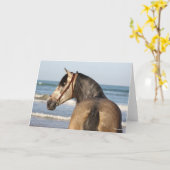 Bob Langrish | Andalucian Stallion Headshot Zee Kaart (Gele Bloem)