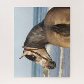 Bob Langrish | Andalucian Stallion Headshot Zee Legpuzzel (Verticaal)