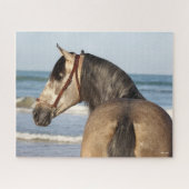 Bob Langrish | Andalucian Stallion Headshot Zee Legpuzzel (Horizontaal)
