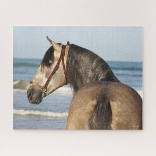 Bob Langrish Andalucian Stallion Headshot Zee Legpuzzel