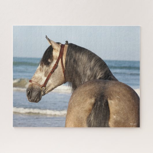 Bob Langrish | Andalucian Stallion Headshot Zee Legpuzzel (Horizontaal)