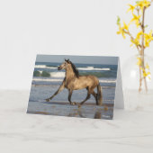 Bob Langrish Andalucian Stallion op strand Kaart (Gele Bloem)