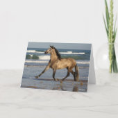 Bob Langrish Andalucian Stallion op strand Kaart (Voorkant)