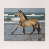 Bob Langrish Andalucian Stallion op strand Legpuzzel (Horizontaal)