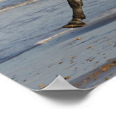 Bob Langrish Andalucian Stallion op strand Poster (Hoek)