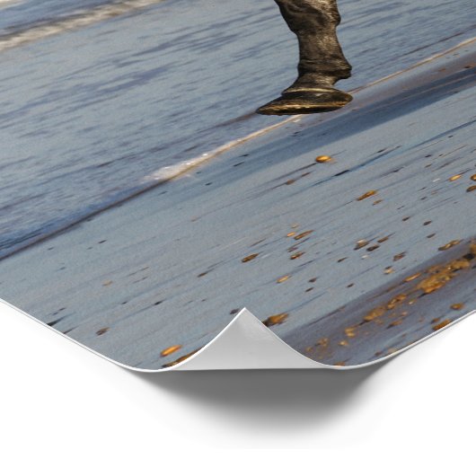 Bob Langrish Andalucian Stallion op strand Poster (Hoek)