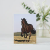 Bob Langrish | Andalucian Stallion Running Briefkaart (Staand voorkant)