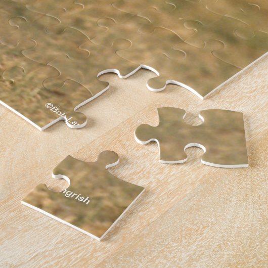 Bob Langrish | Andalucian Stallion Running Legpuzzel (Zijkant)