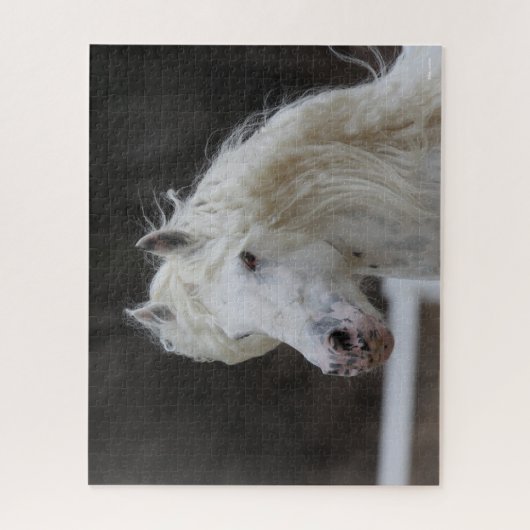 Bob Langrish Appaloosa Friesian Stallion Headshot Legpuzzel (Verticaal)