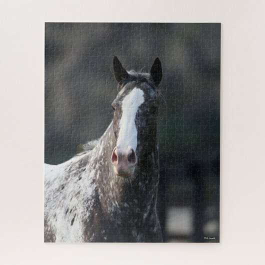 Bob Langrish | Appaloosa Headshot Legpuzzel (Verticaal)