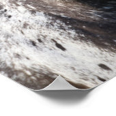 Bob Langrish | Appaloosa Headshot Poster (Hoek)