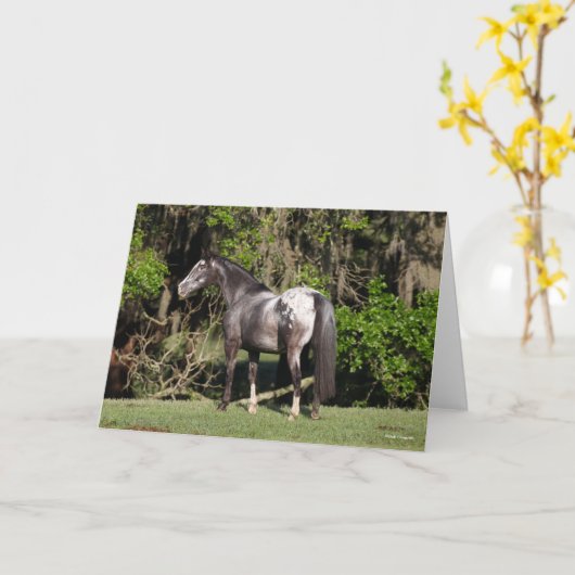 Bob Langrish | Appaloosa Standing Kaart (Gele Bloem)