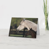 Bob Langrish | Arab Mare and Foal Headshot Kaart (Voorkant)