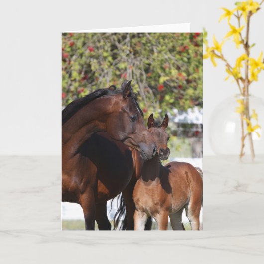 Bob Langrish | Arab Mare and Foal Standing Kaart (Gele Bloem)