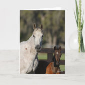 Bob Langrish Arab Mare en Foal Standing Headshot Kaart (Voorkant)