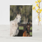 Bob Langrish Arab Mare en Foal Standing Headshot Kaart (Gele Bloem)