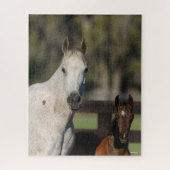 Bob Langrish Arab Mare en Foal Standing Headshot Legpuzzel (Verticaal)