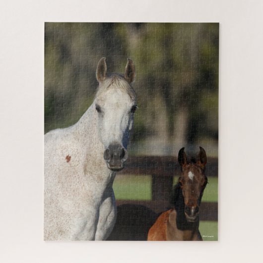 Bob Langrish Arab Mare en Foal Standing Headshot Legpuzzel (Verticaal)