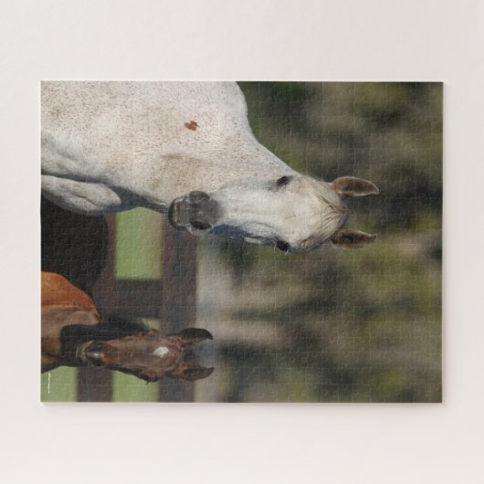 Bob Langrish Arab Mare en Foal Standing Headshot Legpuzzel (Horizontaal)