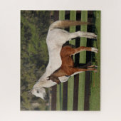 Bob Langrish Arab Mare en Foal Standing Samen Legpuzzel (Verticaal)
