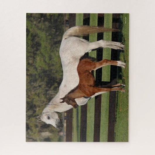 Bob Langrish Arab Mare en Foal Standing Samen Legpuzzel (Verticaal)