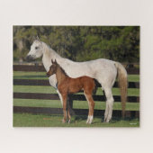 Bob Langrish Arab Mare en Foal Standing Samen Legpuzzel (Horizontaal)