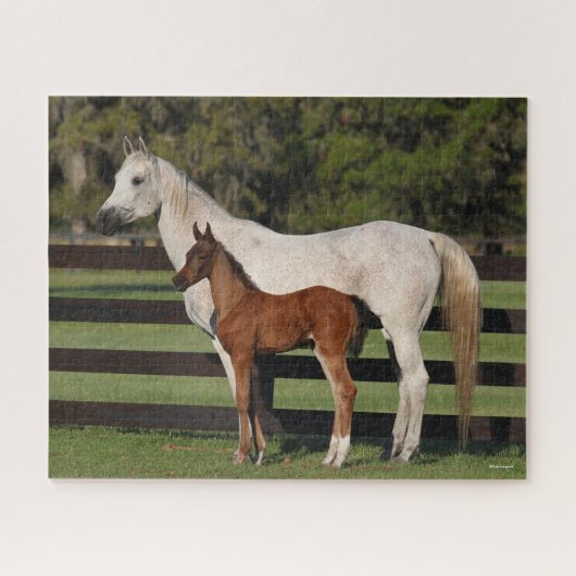 Bob Langrish Arab Mare en Foal Standing Samen Legpuzzel (Horizontaal)