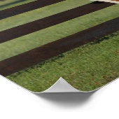 Bob Langrish Arab Mare en Foal Standing Samen Poster (Hoek)