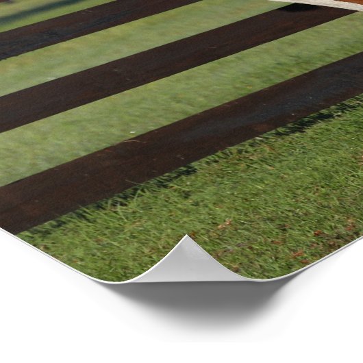 Bob Langrish Arab Mare en Foal Standing Samen Poster (Hoek)