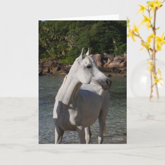 Bob Langrish Arab Mare steekt de kop op Kaart (Gele Bloem)