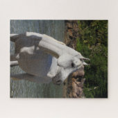 Bob Langrish Arab Mare steekt de kop op Legpuzzel (Horizontaal)