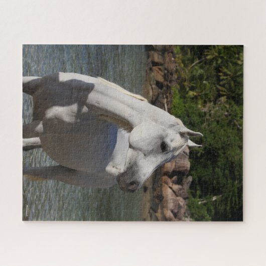 Bob Langrish Arab Mare steekt de kop op Legpuzzel (Horizontaal)