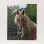 Bob Langrish | Arab Stallion Headshot Legpuzzel (Verticaal)