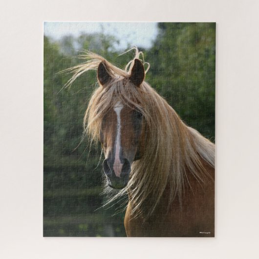Bob Langrish | Arab Stallion Headshot Legpuzzel (Verticaal)
