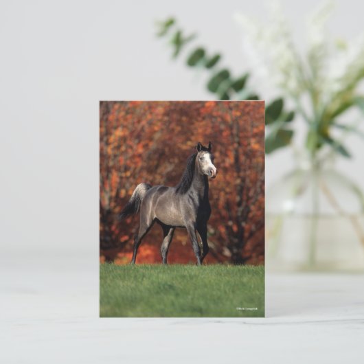 Bob Langrish | Arab Standing Autumn Background Briefkaart (Staand voorkant)