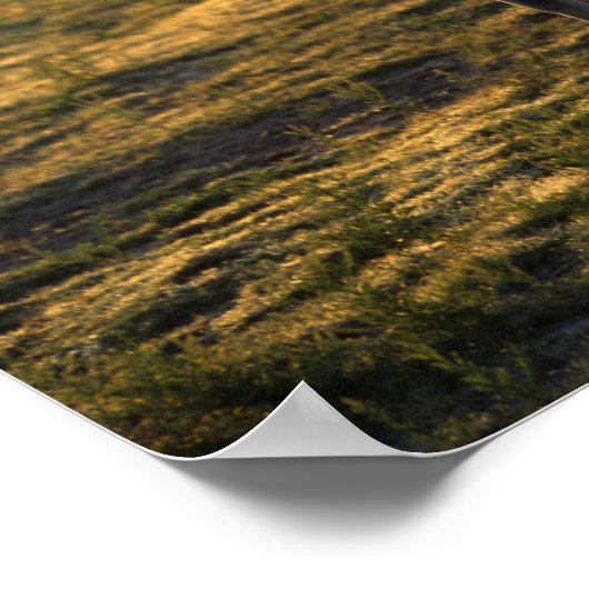 Bob Langrish | Arab Standing Backlit Poster (Hoek)