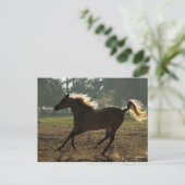 Bob Langrish | Arabisch draaiende achtergrond Briefkaart (Staand voorkant)