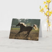 Bob Langrish | Arabisch draaiende achtergrond Kaart (Gele Bloem)