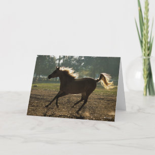 Bob Langrish   Arabisch draaiende achtergrond Kaart