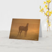 Bob Langrish | Arabisch in de lijst Kaart (Gele Bloem)