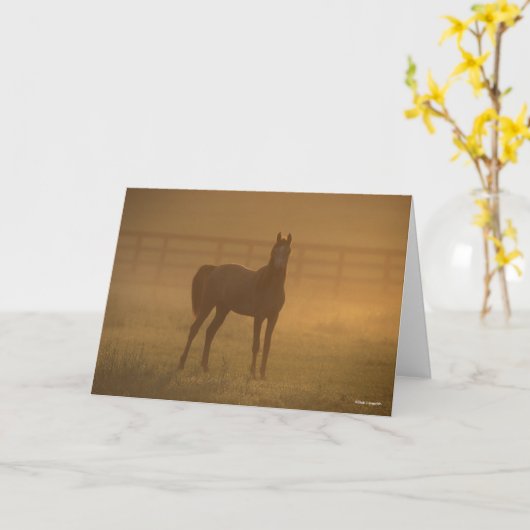 Bob Langrish | Arabisch in de lijst Kaart (Gele Bloem)