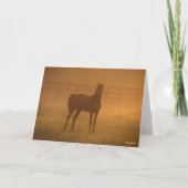 Bob Langrish | Arabisch in de lijst Kaart (Voorkant)