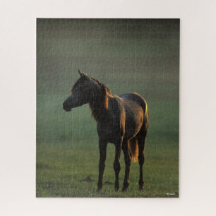 Bob Langrish Arabisch in een mist-achtergrond Legpuzzel