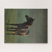 Bob Langrish | Arabisch in een mist-achtergrond Legpuzzel (Horizontaal)