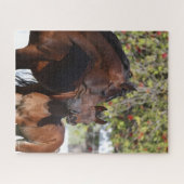 Bob Langrish | Arabisch Mare en schaap Legpuzzel (Horizontaal)