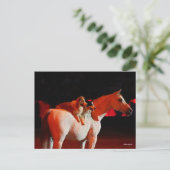 Bob Langrish | Arabisch paard met honden Briefkaart (Staand voorkant)